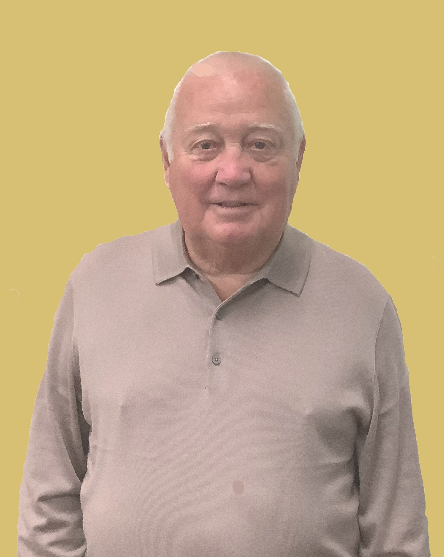 Johnston_David.jpg (9981 bytes)